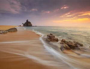 北京队外线火力全开，横扫上海队