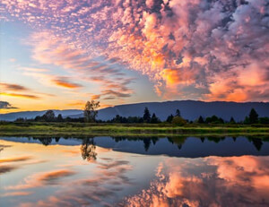 挪威篮球联赛开幕仪式吸引人气篮球明星