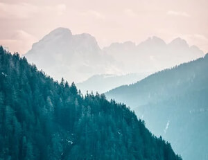 捷克球队在球场上展现团队篮球精神