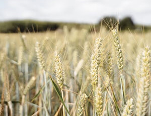 青海男篮球迷积极支持球队,共同期待胜利