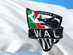 九游娱乐官方平台-“腰旗橄榄球：东部新区赛场充满热血与战术”  第2张